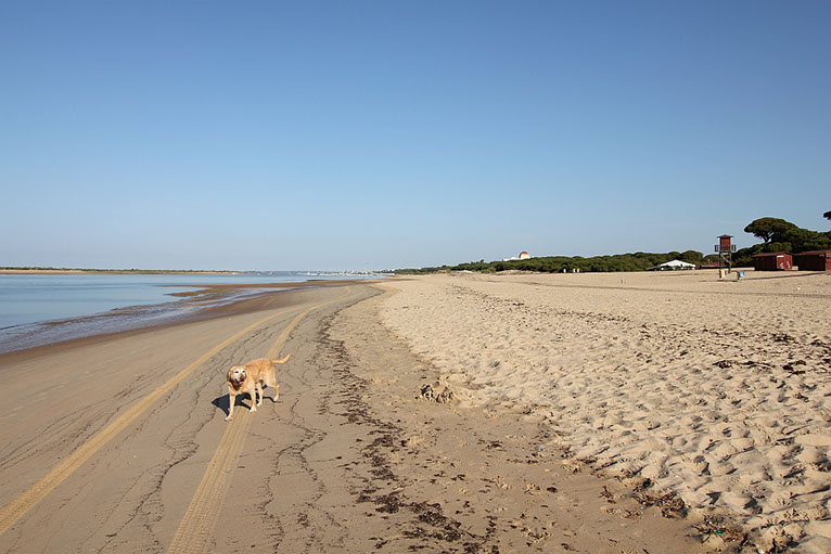 Blick auf den Yachthafen vom Strandwanderweg in El Portil